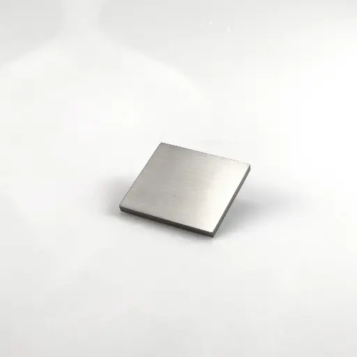 Shower Door Decorative Cover for SS04/SS05